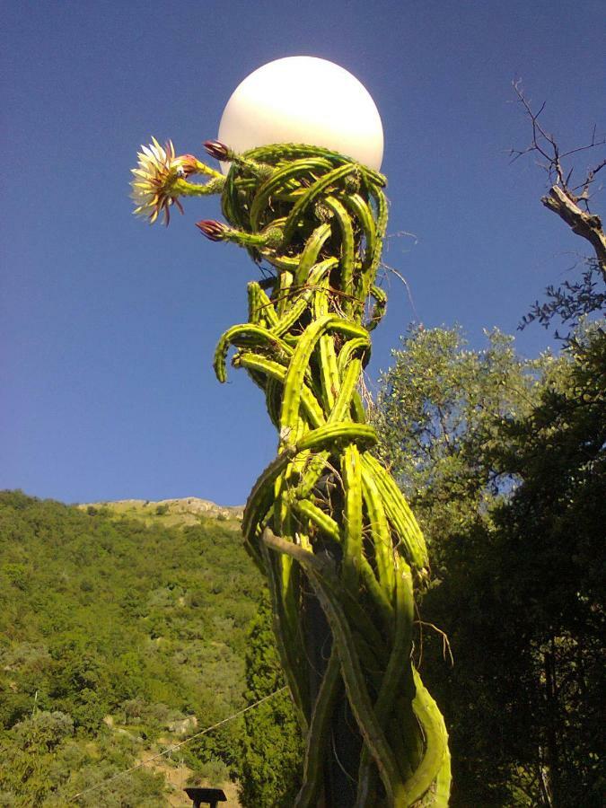 La Margherita Di Teriasca Kültér fotó